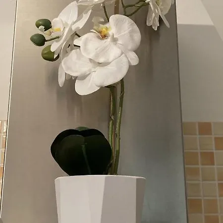 Casa Vacanza Apartment Albenga